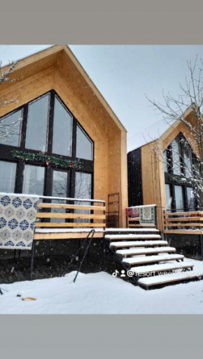 4 Chalet near Borjomi